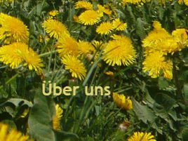 über uns