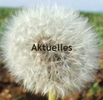 Aktuelles